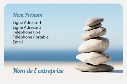 Zen miniature 1