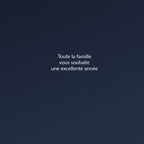 Meilleurs voeux flocon miniature 2