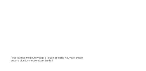 Filaire miniature 2