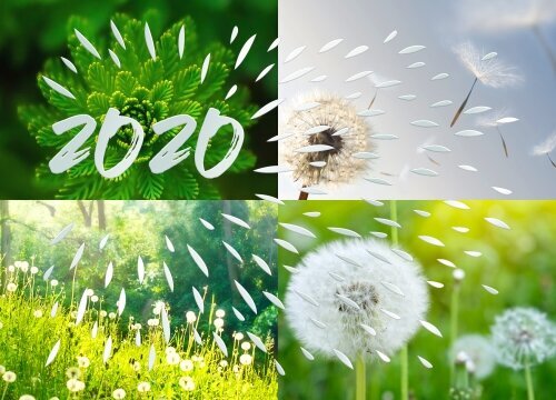 Été miniature 1