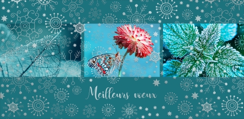 Flocons miniature 1