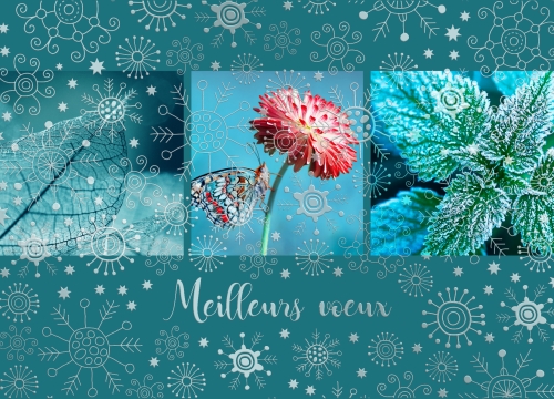 Flocons miniature 1