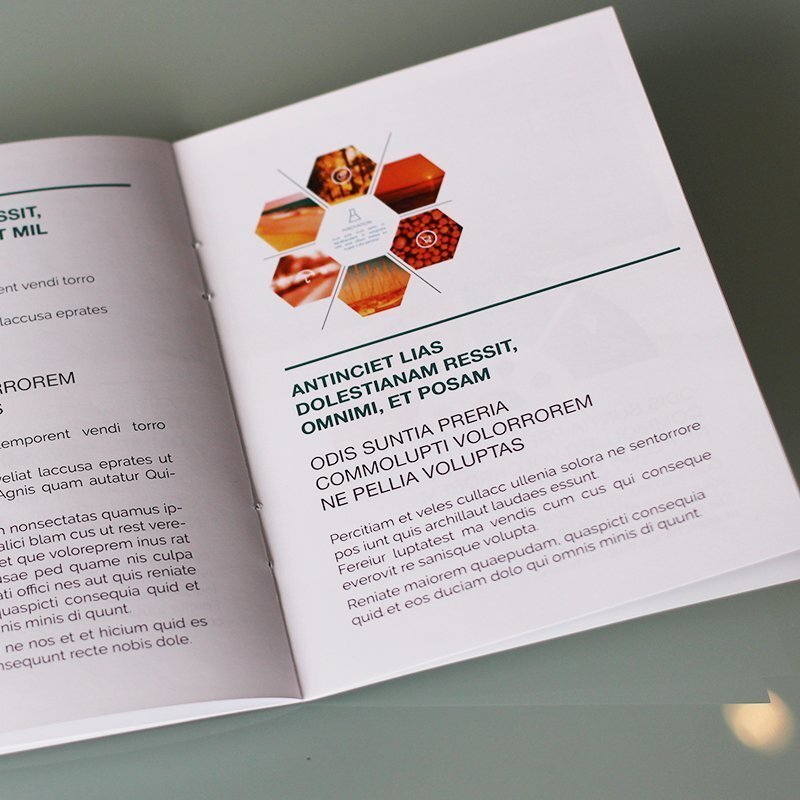Impression brochure A6 miniature 4