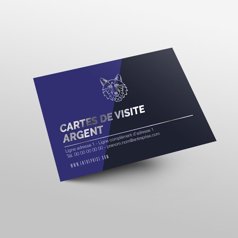 Impression carte de visite premium miniature 1