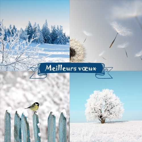 Impression Cartes de voeux simples Hiver personnalisable carré