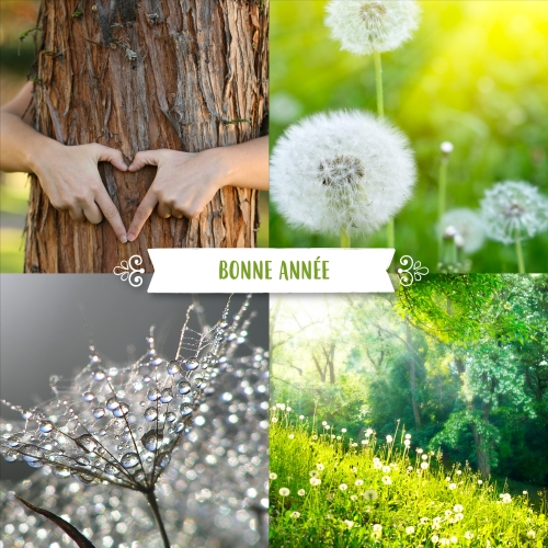 Impression Cartes de voeux simples Printemps personnalisable carré
