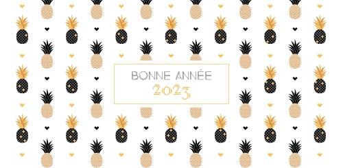 Impression Cartes de voeux simples Ananas personnalisable 21cmx10cm