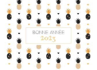 Cartes de voeux simples Ananas personnalisable A6 recto verso