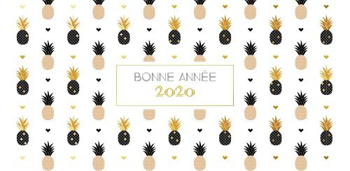 Ananas miniature 1