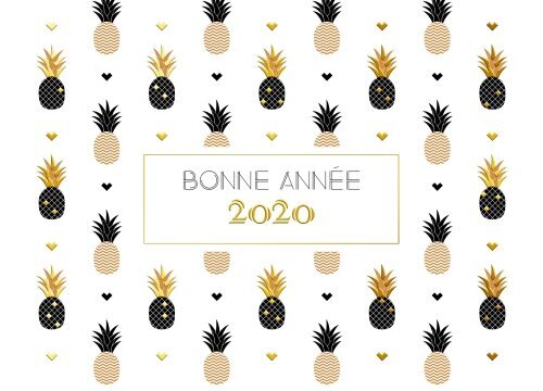 Ananas miniature 1