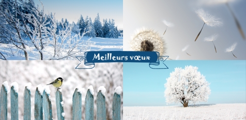Impression Cartes de voeux simples Hiver personnalisable 21cmx10cm