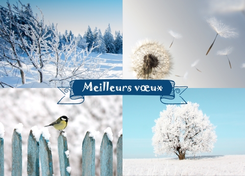 Impression Cartes de voeux simples Hiver personnalisable A6