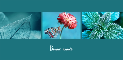 Impression Cartes de voeux simples Photos personnalisable 21cmx10cm