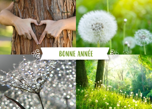Impression Cartes de voeux simples Printemps personnalisable A6