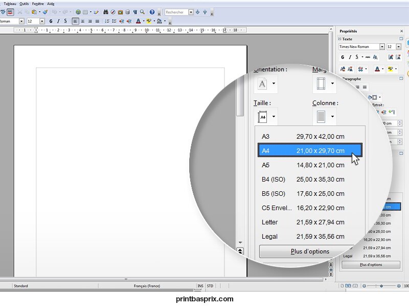 Changement de format sur OpenOffice