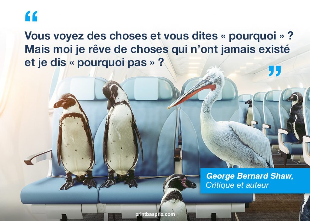 "Vous voyez des choses et vous dites "pourquoi" ? Mais moi je rêve de choses qui n'ont jamais existé et je dis "pourquoi pas" ?"